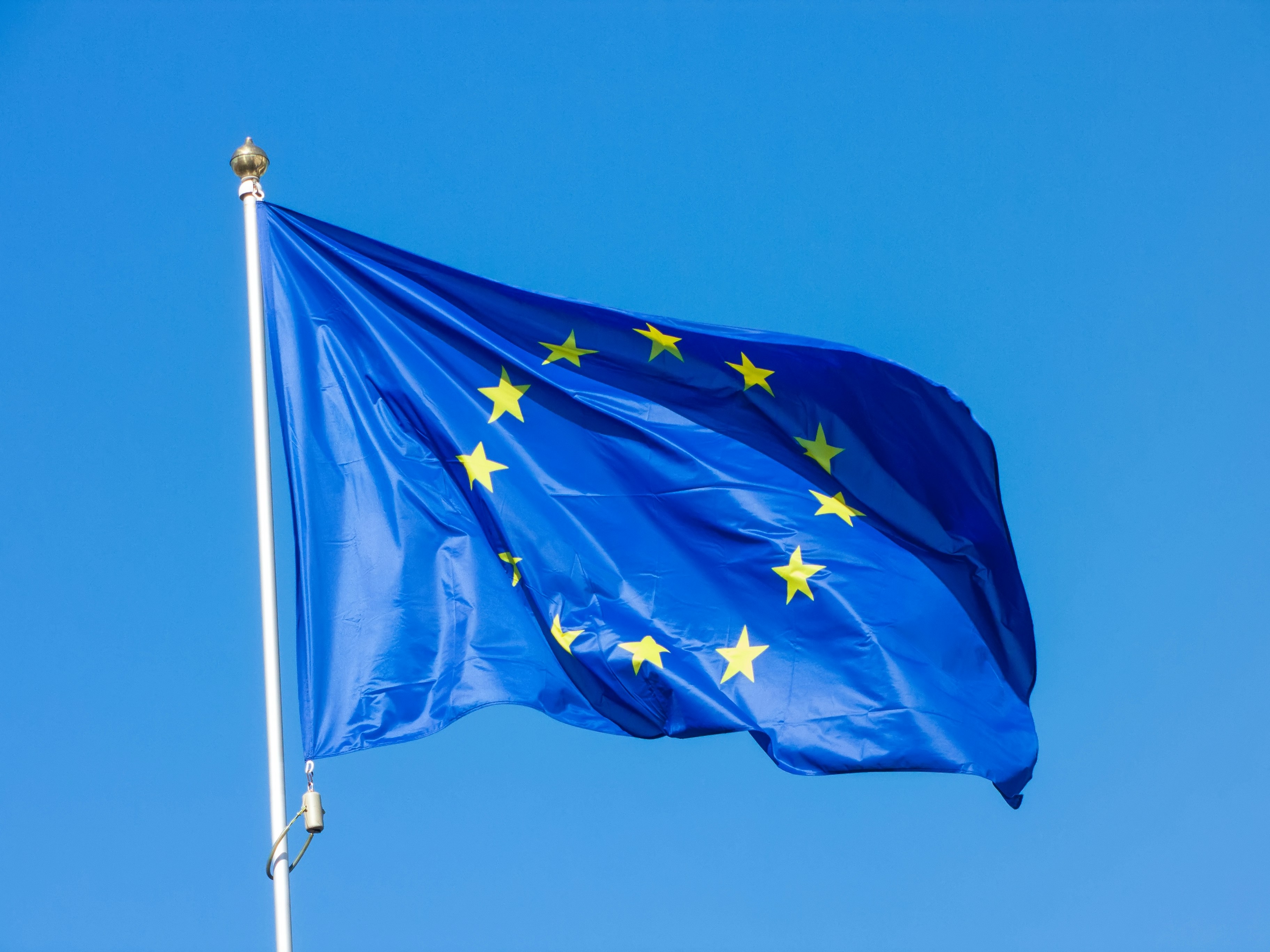 Vlag van de EU